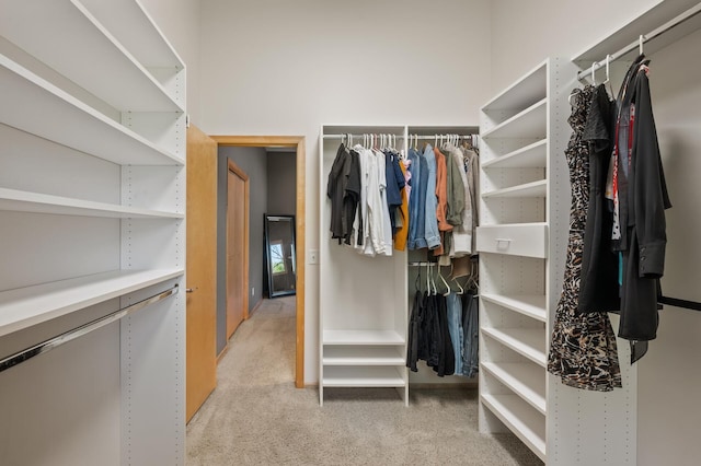 9610 28th Ave N, Plymouth, MN 55441 - spacious closet featuring light colored carpet