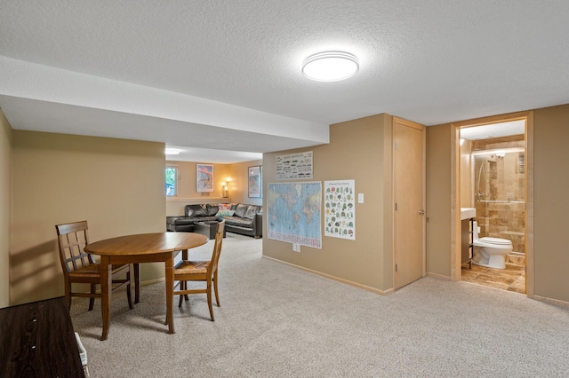 9610 28th Ave N, Plymouth, MN 55441 - dining space featuring carpet and a textured ceiling