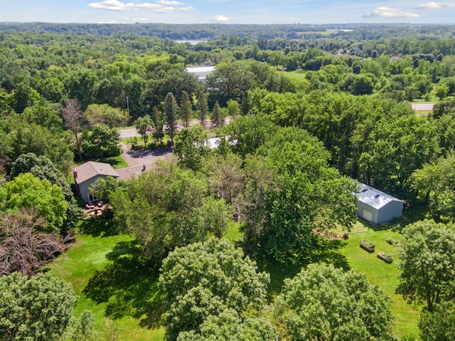 11030 County Road 17 SE, Delano, MN 55328 - photo 49