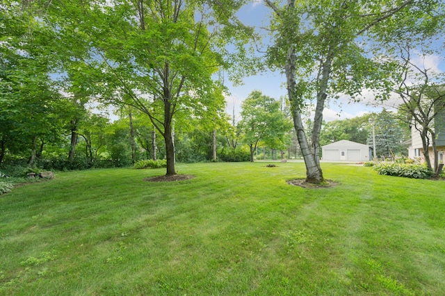 11030 County Road 17 SE, Delano, MN 55328 - photo 44