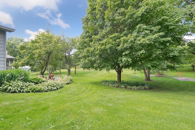 11030 County Road 17 SE, Delano, MN 55328 - photo 45