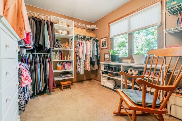 2711 Cedar Ave, Holmen, WI 54636 - walk in closet featuring carpet floors