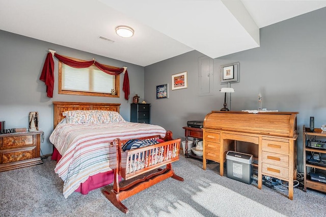 2711 Cedar Ave, Holmen, WI 54636 - bedroom with carpet floors
