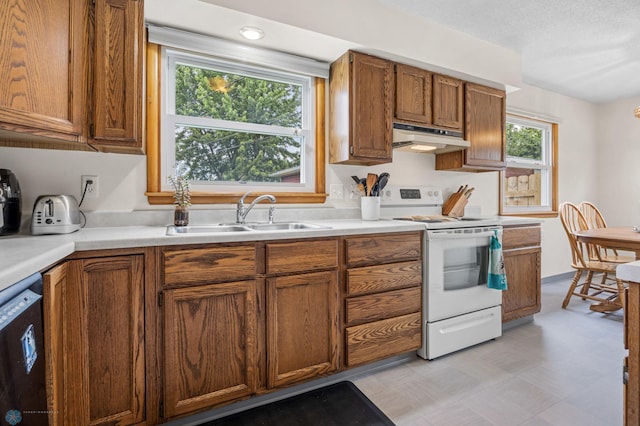 426 3rd Ave E, West Fargo, ND 58078 - kitchen with electric stove, under cabinet range hood, dishwashing machine, light floors, and brown cabinets