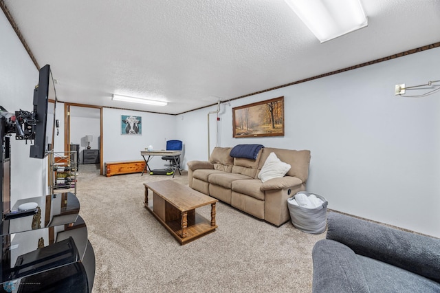 426 3rd Ave E, West Fargo, ND 58078 - living area featuring a textured ceiling and carpet flooring