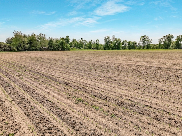 6.5ACRES 24 1/4 St, Chetek, WI 54728
