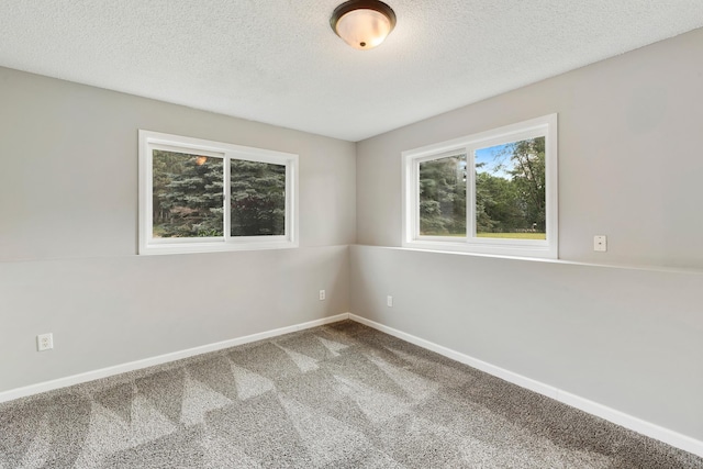110 132nd Ave NE, Blaine, MN 55434 - photo 27