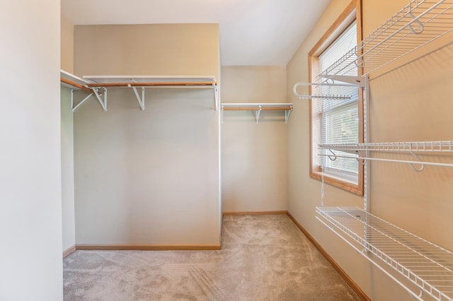 1661 Bush Ave, Saint Paul, MN 55106 - spacious closet with carpet