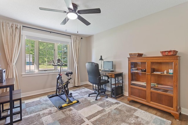 905 Sellards Dr, Dassel, MN 55325 - office featuring a ceiling fan and wood finished floors
