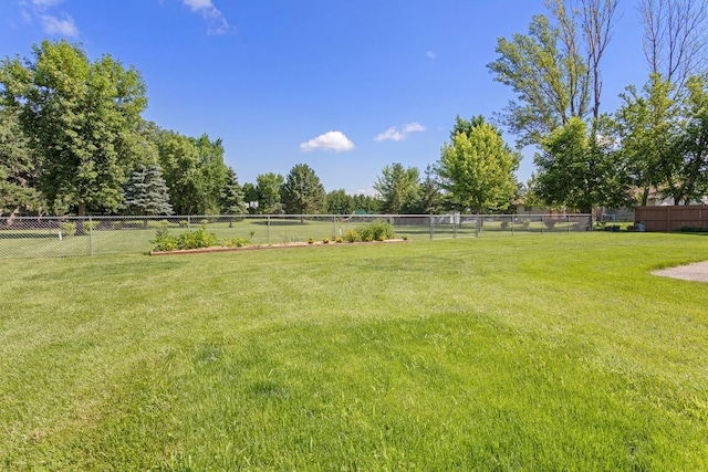 905 Sellards Dr, Dassel, MN 55325 - view of yard