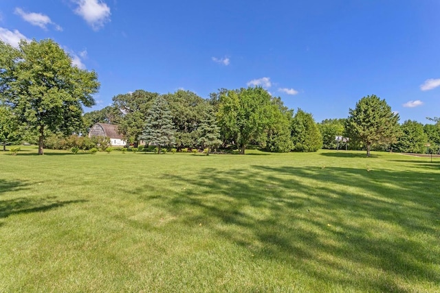 905 Sellards Dr, Dassel, MN 55325 - view of green lawn