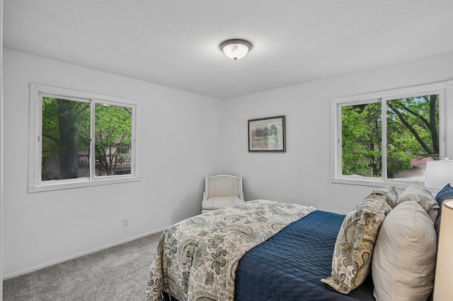 135 Eagle Lake Dr, Maple Grove, MN 55369 - photo 19