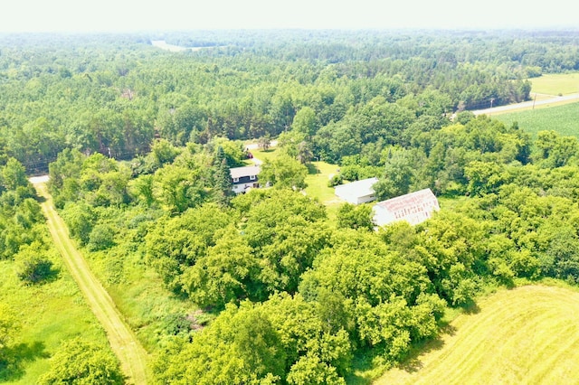 52908 Dupuis Rd, Sandstone Twp, MN 55072 - photo 5