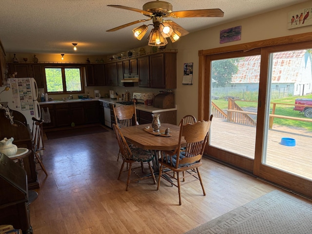 52908 Dupuis Rd, Sandstone Twp, MN 55072 - photo 13