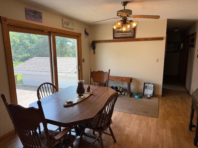 52908 Dupuis Rd, Sandstone Twp, MN 55072 - photo 14