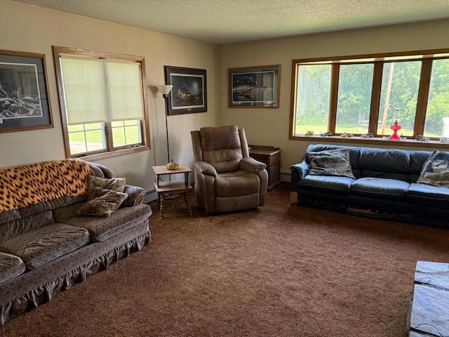 52908 Dupuis Rd, Sandstone Twp, MN 55072 - photo 16