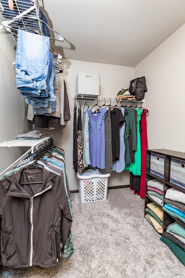 3137 6th St E, West Fargo, ND 58078 - walk in closet featuring carpet floors