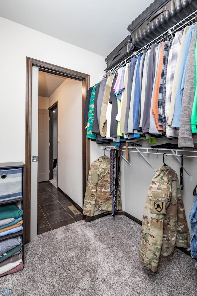 3137 6th St E, West Fargo, ND 58078 - spacious closet with tile patterned floors and carpet flooring