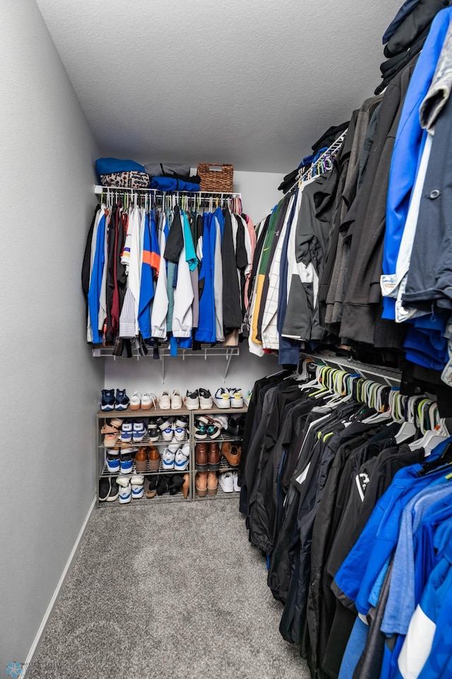 8827 Northern Lights Ave, Horace, ND 58047 - spacious closet with carpet floors