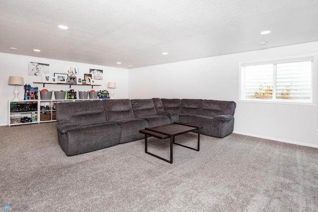 8827 Northern Lights Ave, Horace, ND 58047 - carpeted living area with recessed lighting