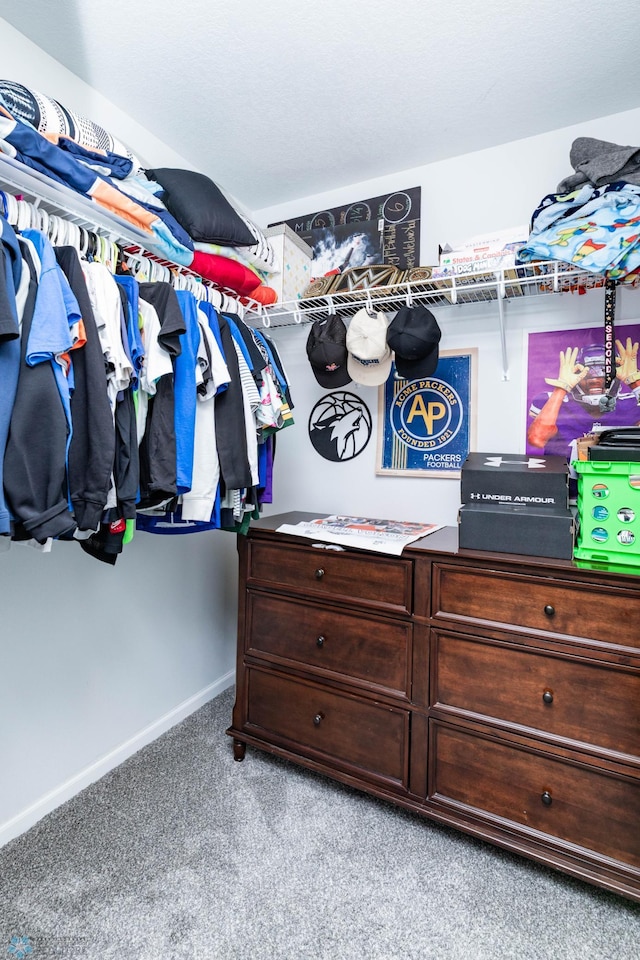 8827 Northern Lights Ave, Horace, ND 58047 - walk in closet with carpet flooring