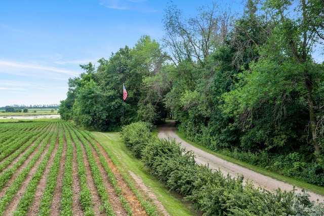 19025 30th St, Hollywood Twp, MN 55395 - photo 4
