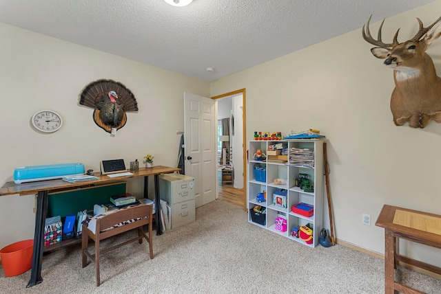 19025 30th St, Hollywood Twp, MN 55395 - photo 46