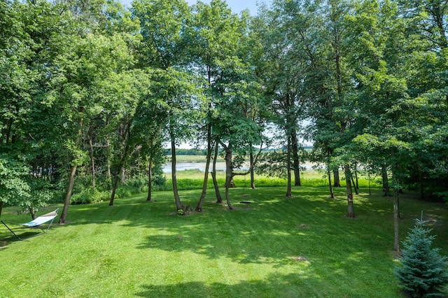 19025 30th St, Hollywood Twp, MN 55395 - photo 78
