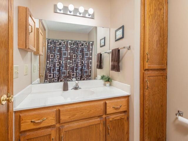 13680 57th St NE, Saint Michael, MN 55376 - bathroom featuring vanity and a shower with curtain