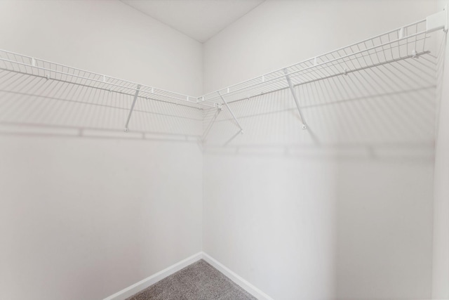 7415 E Ramsey Pkwy NW, Ramsey, MN 55303 - spacious closet featuring carpet floors