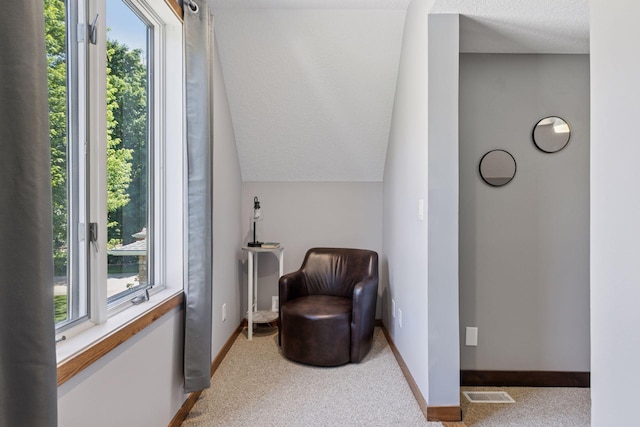 708 Riverside Dr N, North Hudson, WI 54016 - living area with lofted ceiling, a textured ceiling, and carpet flooring