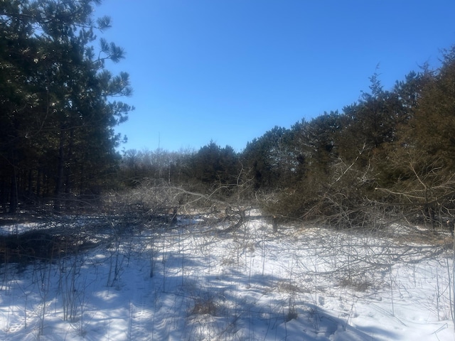 TBD 272nd St, Saint Martin Twp, MN 56362 - photo 19