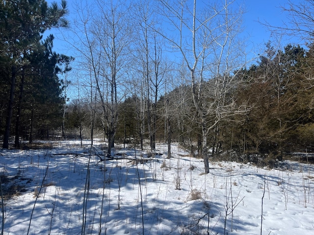 TBD 272nd St, Saint Martin Twp, MN 56362 - photo 20