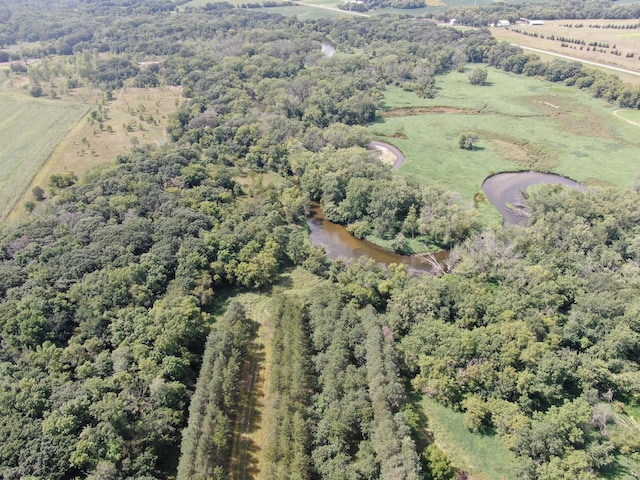 TBD 272nd St, Saint Martin Twp, MN 56362 - photo 3