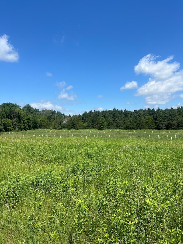TBD 272nd St, Saint Martin Twp, MN 56362 - photo 33