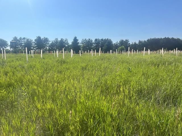TBD 272nd St, Saint Martin Twp, MN 56362 - photo 49
