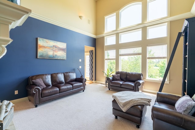 60515 235th St, Madison Lake, MN 56063 - living area featuring carpet flooring and a high ceiling