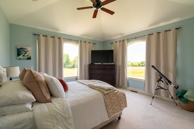 60515 235th St, Madison Lake, MN 56063 - carpeted bedroom with lofted ceiling and ceiling fan