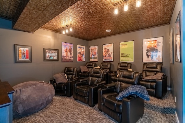 60515 235th St, Madison Lake, MN 56063 - carpeted cinema room featuring an ornate ceiling and ornamental molding