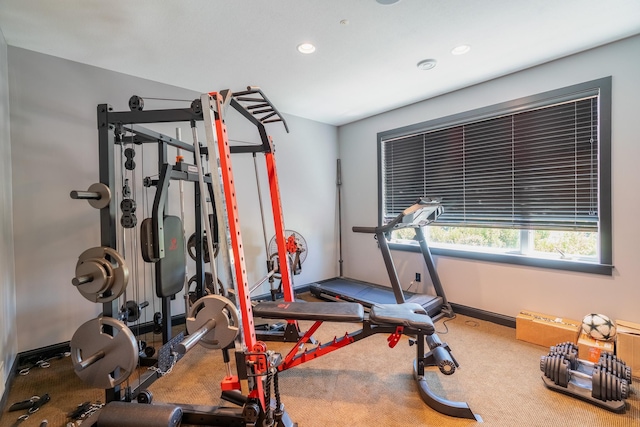 60515 235th St, Madison Lake, MN 56063 - exercise area featuring recessed lighting and carpet