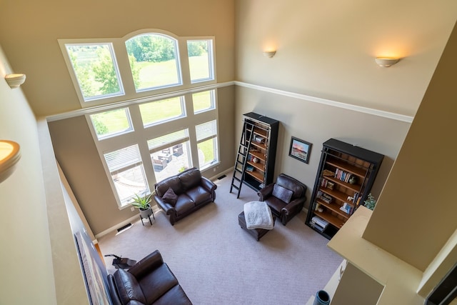 60515 235th St, Madison Lake, MN 56063 - living room with a high ceiling and carpet