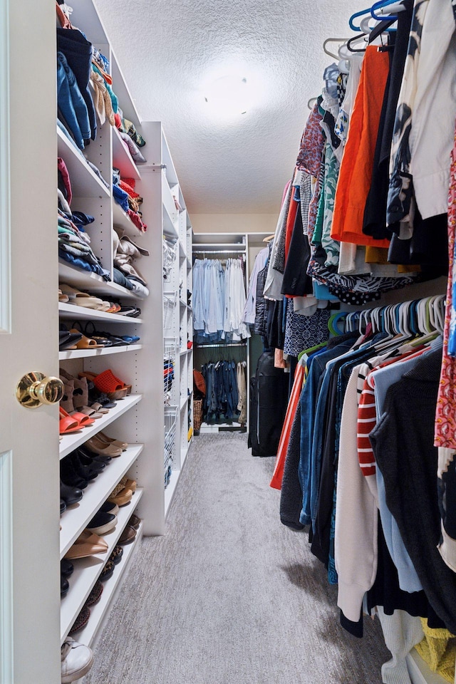 4312 France Ave S, Edina, MN 55410 - walk in closet with carpet flooring