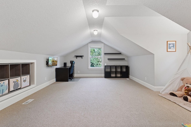 4312 France Ave S, Edina, MN 55410 - unfurnished office featuring a textured ceiling, carpet flooring, and vaulted ceiling