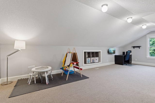 4312 France Ave S, Edina, MN 55410 - game room with a textured ceiling, lofted ceiling, and carpet flooring