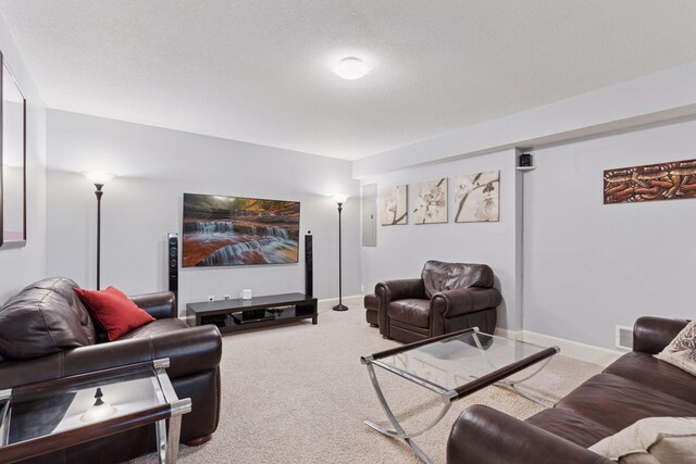 4312 France Ave S, Edina, MN 55410 - cinema room with carpet