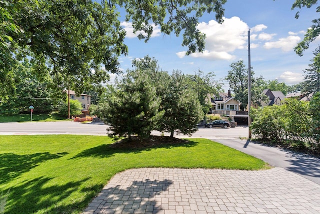 4312 France Ave S, Edina, MN 55410 - view of green lawn with a residential view