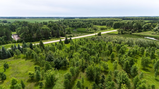 LOT2 Rutten Ln NE, Belle River Twp, MN 56319 - photo 17