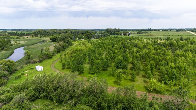 LOT1 Rutten Ln NE, Belle River Twp, MN 56319 - photo 1