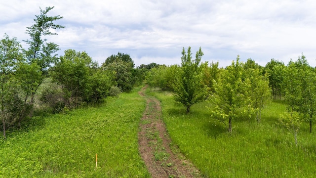 LOT1 Rutten Ln NE, Belle River Twp, MN 56319 - photo 7