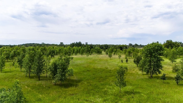 LOT1 Rutten Ln NE, Belle River Twp, MN 56319 - photo 9